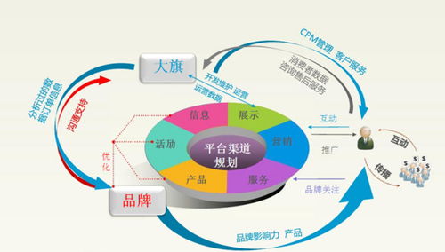 自己电子商务专业的规划