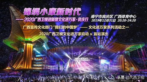 2025跨年晚会直播，璀璨之夜，共度新篇章