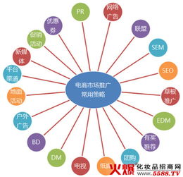 电子商务专业营销方案