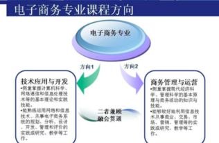 电子商务运营考研专业