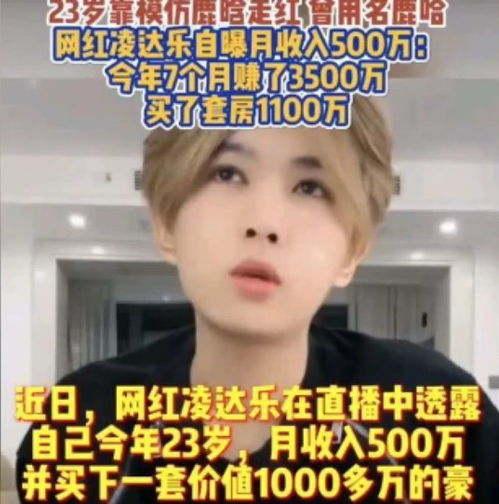 网红鹿哈模仿鹿晗月入500万，揭秘网络红人的经济奇迹