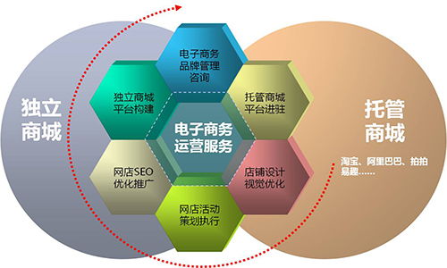 怎样适应电子商务专业