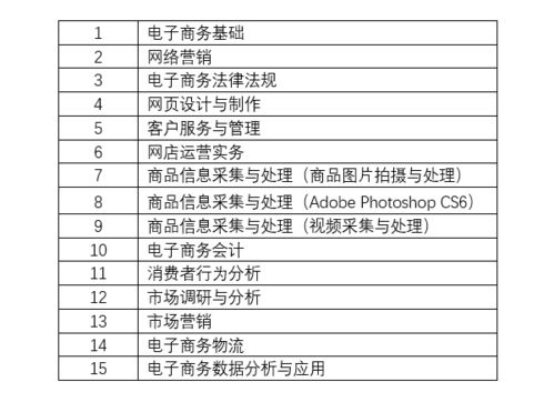 电子商务专业计划实施