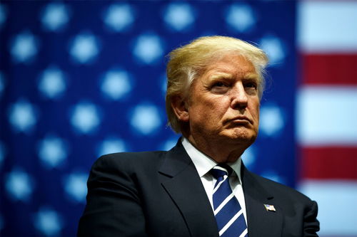 美国民众观点，特朗普是否应被送入精神病院？