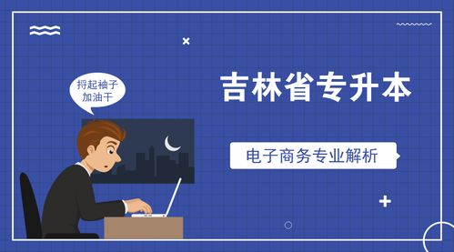安徽专升本专业电子商务