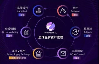 线上线下电子商务专业