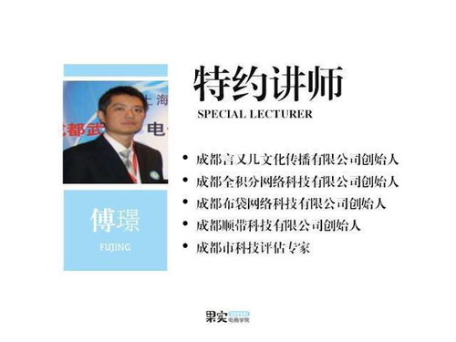 电子商务讲师的专业领域