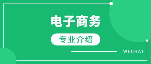 电子商务专业发展的挑战