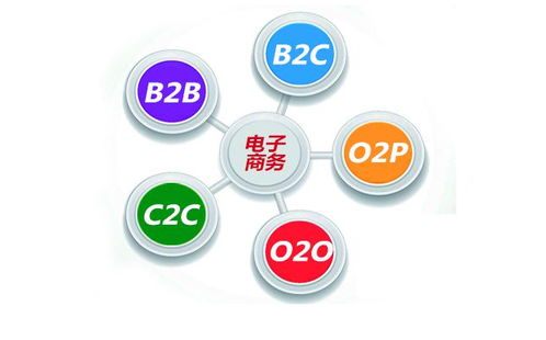 电子商务专业用的优盘