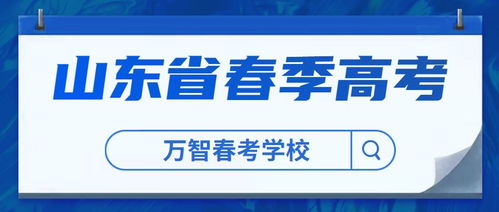 春考电子商务类专业
