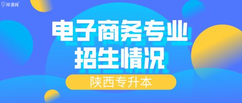 电子商务技术升本专业