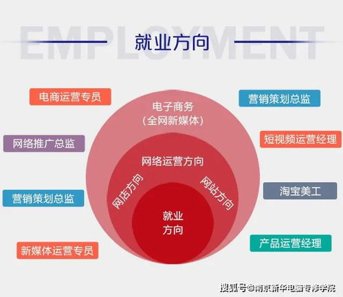 电子商务专业出来的干嘛