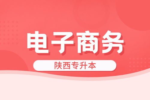 电子商务属于美术专业吗