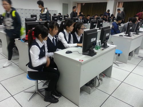 电子商务专业女生完整版