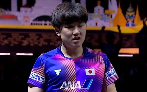 张本智和4-1林仲勋，晋级之路的辉煌一战