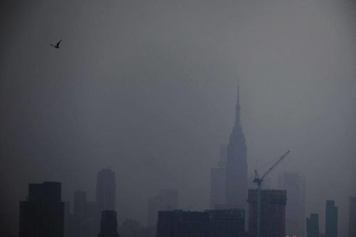 破纪录高温来了，全球气候变暖的严峻挑战