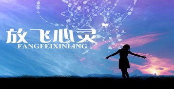 七根心简定档0608，心灵之旅的启程