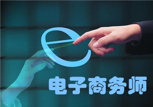 电子商务是本科专业吗