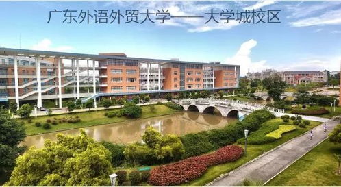 武科大有电子商务专业吗