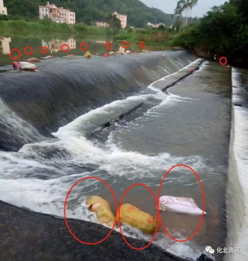 肇庆、云浮辟谣水源被污染无法饮用