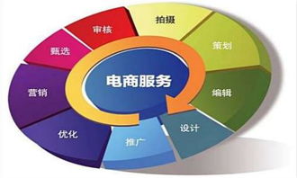 单招电子商务专业好考吗
